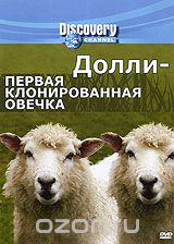 Discovery: Долли - первая клонированная овечка