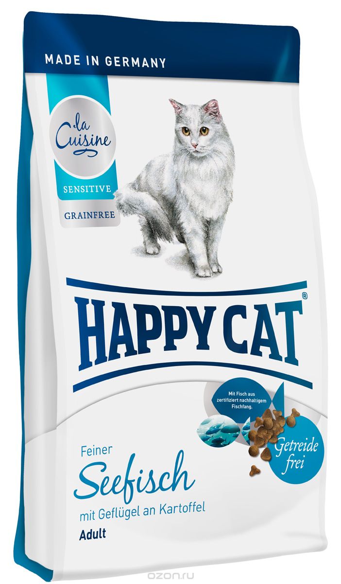   Happy Cat 
