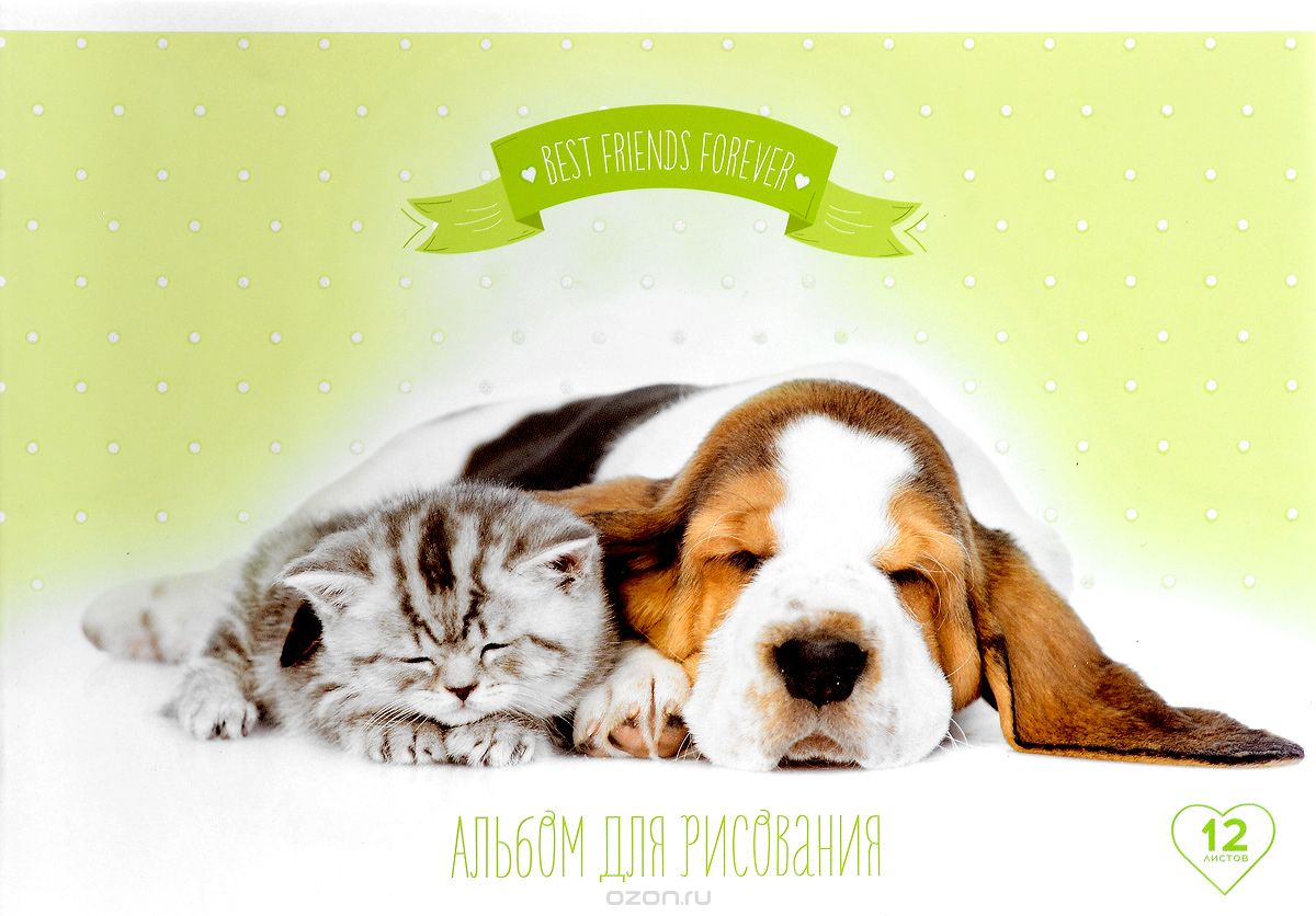 ArtSpace Альбом для рисования Питомцы Friends Forever 12 листов