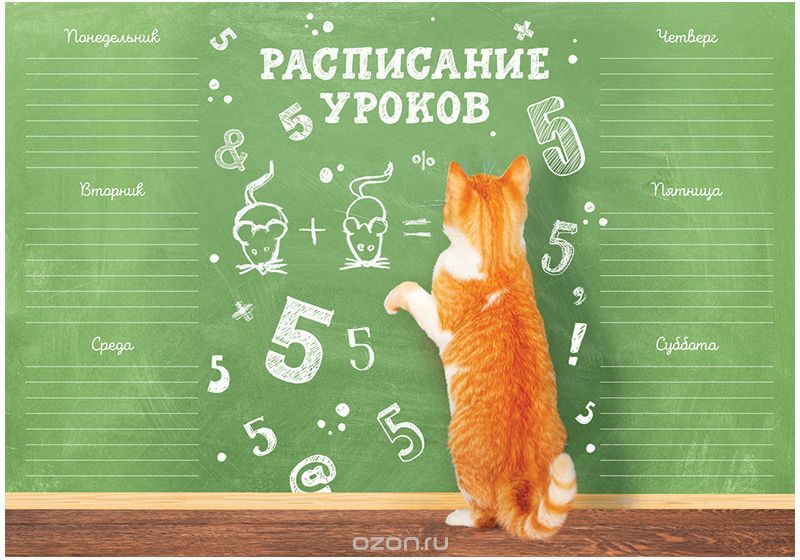 ArtSpace Расписание уроков Для отличной учебы формат A4