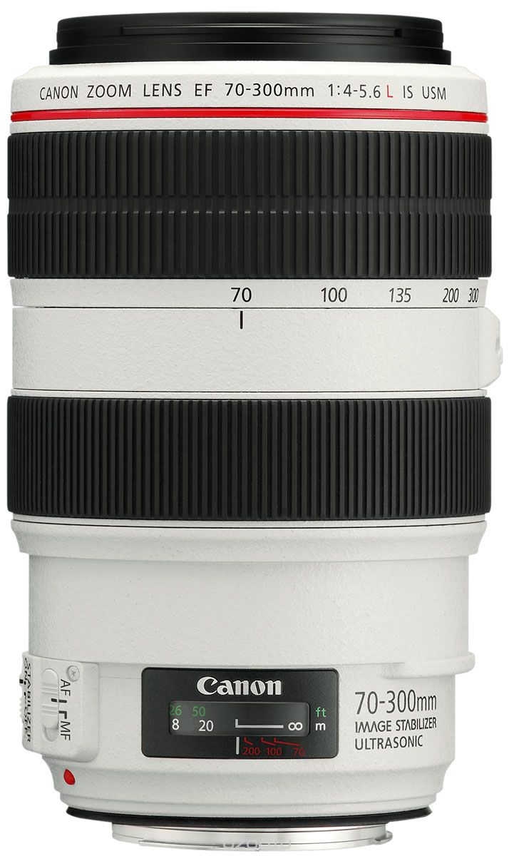 Canon EF 70-300 mm 4-5.6L IS USM, White объектив